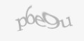 Beveiligingscode
