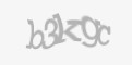 Beveiligingscode