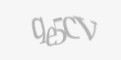 Beveiligingscode