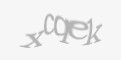 Beveiligingscode