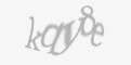 Beveiligingscode