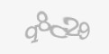 Beveiligingscode