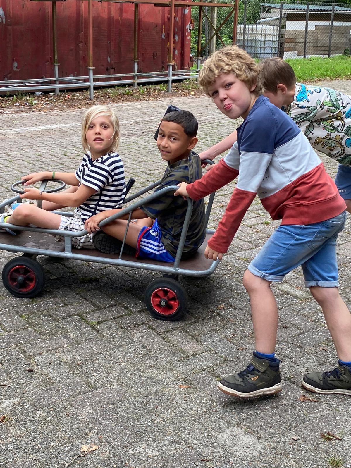 IMG 7469
